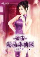 ����С˵:���г�ƷС��ҽ