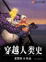 ����С˵:��Խ����ʷ