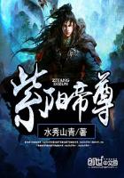 ����С˵:��������