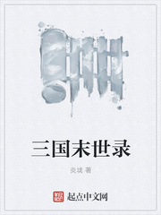 ��ʷС˵:����ĩ��¼