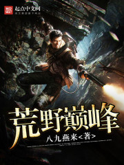 ����С˵:��Ұ�۷�