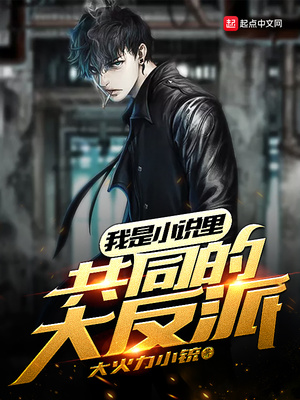 ����С˵:����С˵�ﹲͬ�Ĵ���