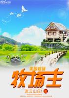 ����С˵:��������������