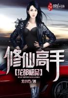 ����С˵:������Ʒ���ɸ���