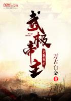 ����С˵:�伫����