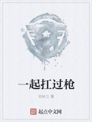 历史小说:一起扛过枪 历史小说:一起扛过枪