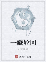 ����С˵:һ���ֻ�