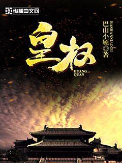 ��ʷС˵:��Ȩ