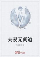 ��ʷС˵:�����޼��