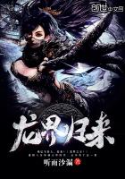 ����С˵:�������