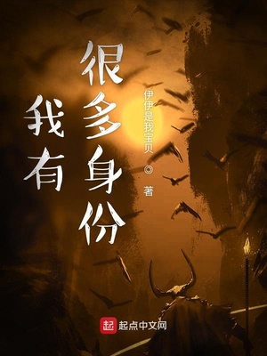 ����С˵:���кܶ�����