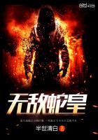 ����С˵:�޵��߻�