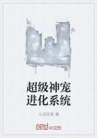 ����С˵:����������ϵͳ