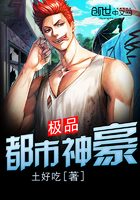 ����С˵:��Ʒ�������