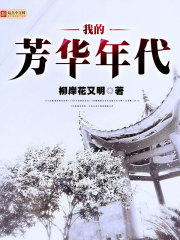 ����С˵:�ҵķ������