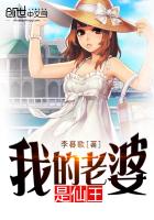 ����С˵:�ҵ�����������