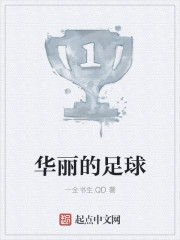 ��ʷС˵:����������