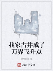 言情小说:我家古井成了万界飞升点 言情小说:我家古井成了万界飞升点