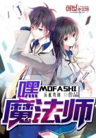 ����С˵:�٣�ħ��ʦ