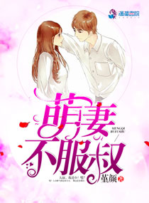 ����С˵:���޲�����