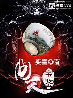 ����С˵:���챦��