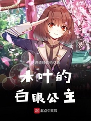 ����С˵:ľҶ�İ��۹���