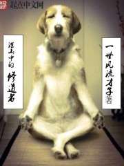 ����С˵:��ɽ�е��޵���