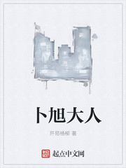 ����С˵:�������