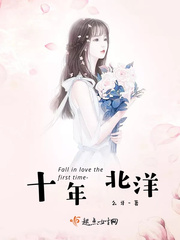 ����С˵:ʮ�걱��