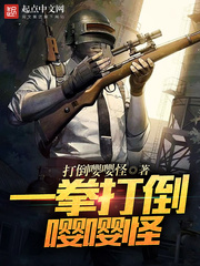 ����С˵:һȭ�����ӹ�