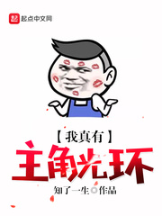 ����С˵:���������ǹ⻷