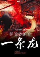 ����С˵:����֮����һ����