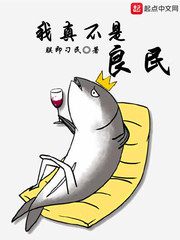 ����С˵:���治������