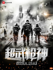 ����С˵:����ǹ��