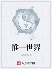 ����С˵:Ωһ����