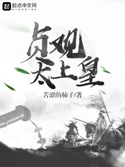 ��ʷС˵:���̫�ϻ�