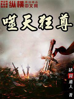 ����С˵:�������