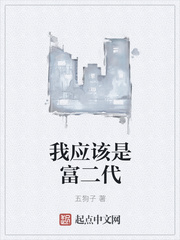 ����С˵:��Ӧ���Ǹ�����