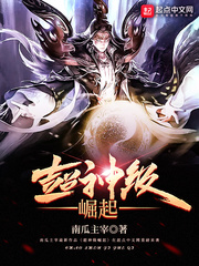 ����С˵:��������