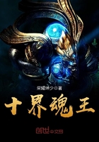 ����С˵:ʮ�����