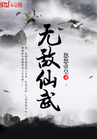 ����С˵:�޵�����