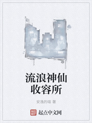 ����С˵:��������������