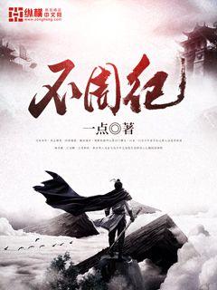 ����С˵:���ܼ�