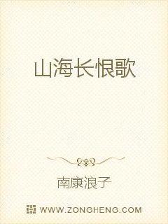 ����С˵:ɽ�����޸�