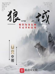 ����С˵:����