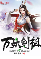 ����С˵:��������