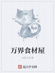 ����С˵:���ʳ����