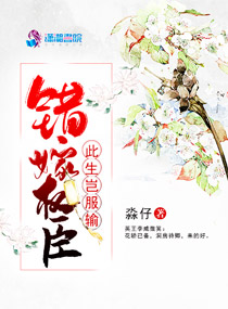 ��ʷС˵:����Ȩ�������������