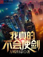 言情小说:我真的不会使剑 言情小说:我真的不会使剑