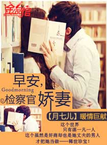 言情小说:早安,检察官娇妻 言情小说:早安,检察官娇妻